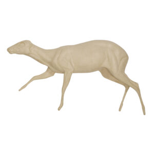 Blue Duiker Running