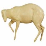 Duiker