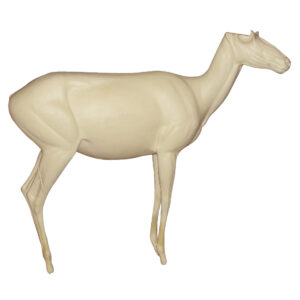 Antelope Standing Right
