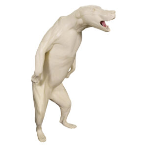 Black Bear Aggressive Lean Forward on Hind Legs