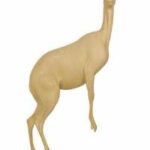 Klipspringer