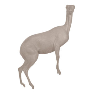 Klipspringer Standing Front High
