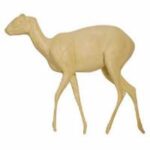 Suni