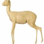 Dik Dik