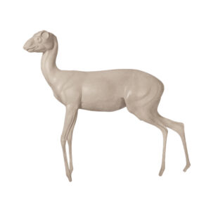 Dik Dik Walking