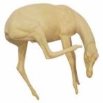 Gazelle