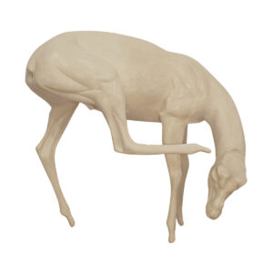 Thompson Gazelle Scratching