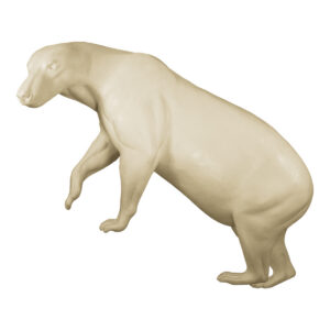 Black Bear High Front Walking Up