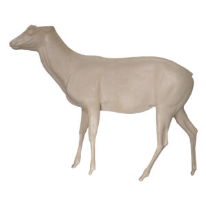 Dybowski Sika Standing