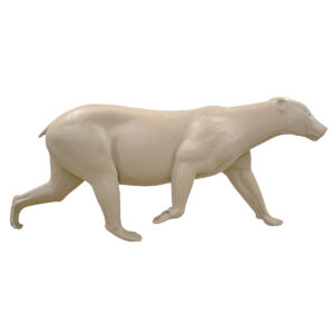 Black Bear Extended Walking