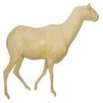 Ibex