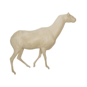 Ibex Walking