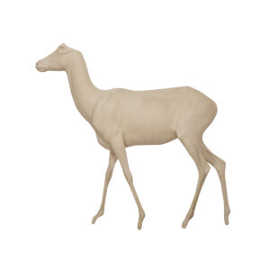 Impala Walking