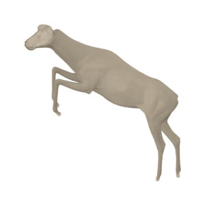 Impala Jumping