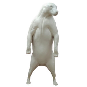 Black Bear Standing Upright Looking Left