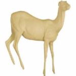 Kudu