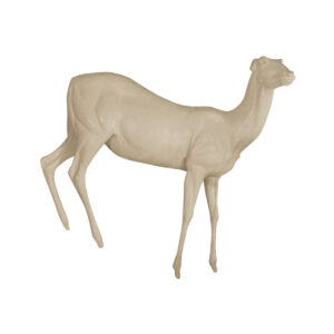 Lesser Kudu Standing Rear High