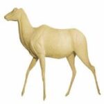 Kudu