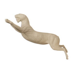 Leopard Leaping