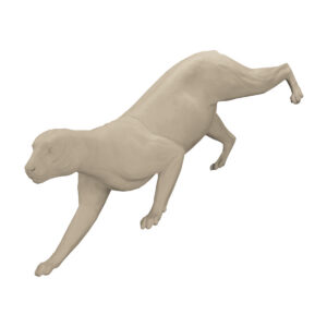 Leopard Steep Sneak