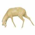 Lechwe