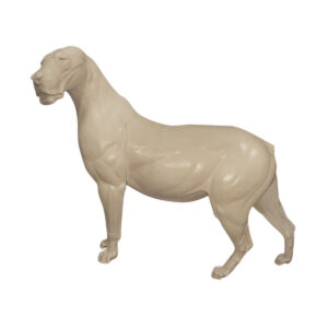 Lion Elevated Head
