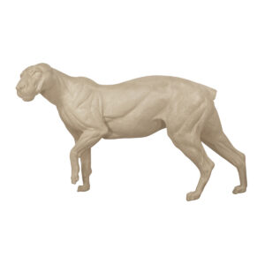 Lion Standing Head Up