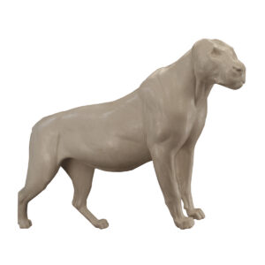 Lioness Standing Front High