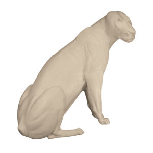 Lioness Sitting