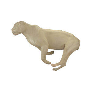 Lion Running