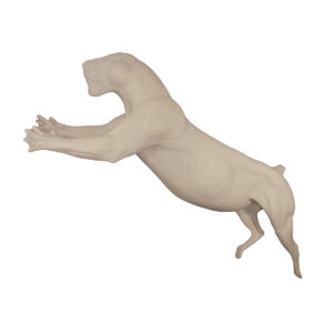 Lion Leaping Extended Arms