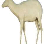 Nyala