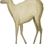 Nyala