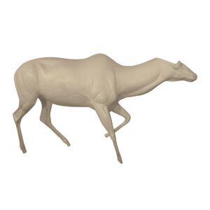 Nyala Walking with Head Low