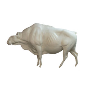 Gaur Standing