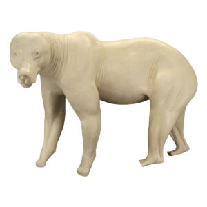Grizzly Bear Walking On Four