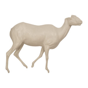 Mouflon Walking Forward