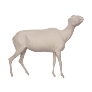 Mouflon Nose High