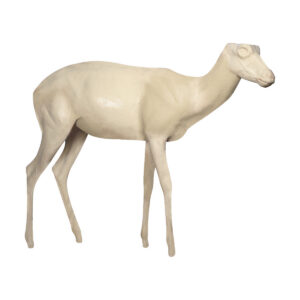 Springbok Standing
