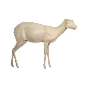 Steinbok Standing