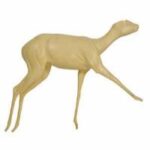 Steinbok