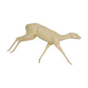 Steinbok Running