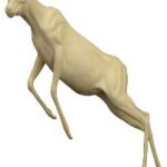Steinbok