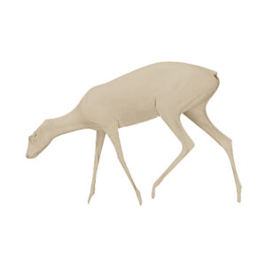 Steinbok Walking Head Low