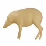 Bushpig