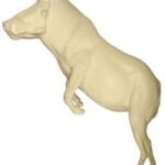 Warthog