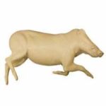 Warthog