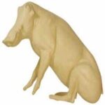 Warthog