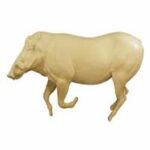 Warthog