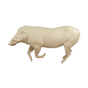 Warthog Running Hind Lift Off